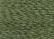 Hi-Lights H640 Olive