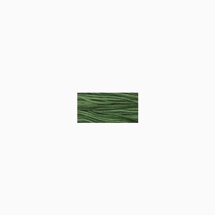 WDW 2168 Monkey Grass
