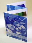 Carte couleurs Vaupel & Heilenbeck