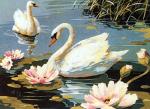 Les Cygnes