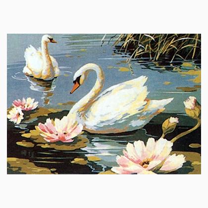 Les Cygnes