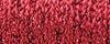 003HL - Red High Lustre (#12)