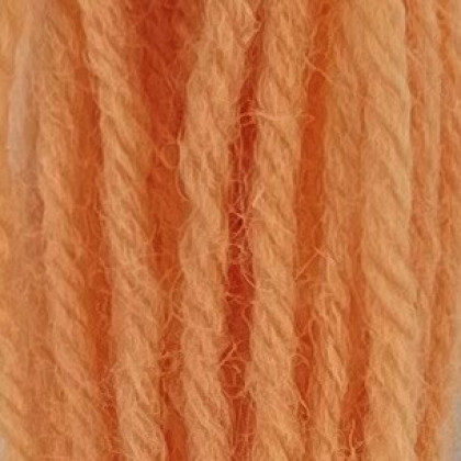 Tapestry Wool - Coral 861