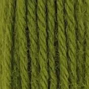 Tapestry Wool - Grass Green 254