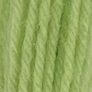 Tapestry Wool - Leaf Green 421