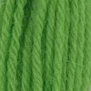 Tapestry Wool - Leaf Green 423