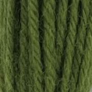 Tapestry Wool - Early English Green 546