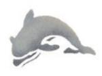 Brico Stencil - Dolphin - 7 x 10 cm