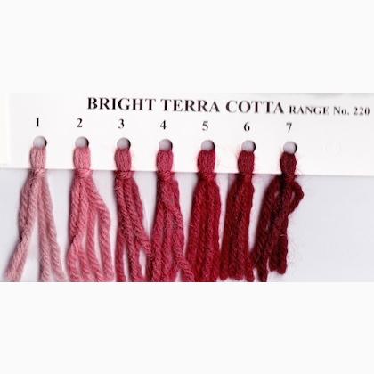 Crewel Wool - Bright Terra Cotta 223