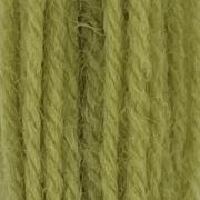 Crewel Wool Hank - Grass Green 251A