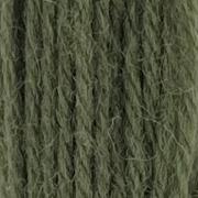 Crewel Wool Hank - Jacobean Green 293