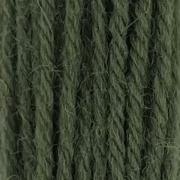 Crewel Wool - Jacobean Green 294