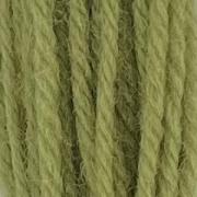 Crewel Wool Hank - Early English Green 542