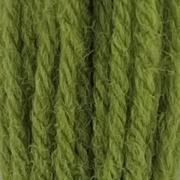 Tapestry Wool Hank - Early English Green 544