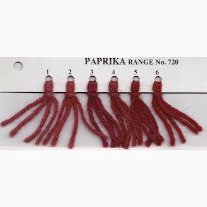 Tapestry Wool Hank - Paprika 724