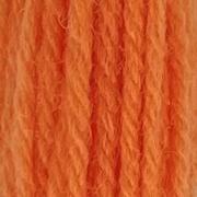 Crewel Wool Hank - Coral 862