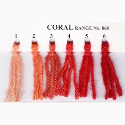 Tapestry Wool Hank - Coral 865
