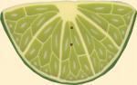 2257X - Xlg Lime Slice