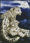 Nocturne