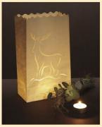 Lanternes Elan (10)