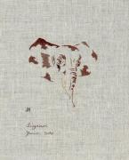 L 'éléphant de Sigean