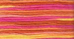 Anchor Perlé #5 Multicolor - 1315