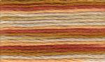 Anchor Perlé #5 Multicolor - 1385