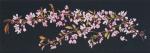 Japanese Blossom - Noir
