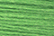 RT10 - Rainbow Tweed Leaf Green