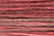 RT55 - Rainbow Tweed Paprika
