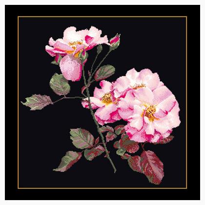 Rosa Leersum - Noir