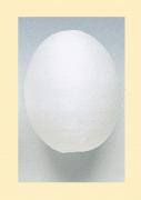 Oeuf d'ouate 39 x 48 mm