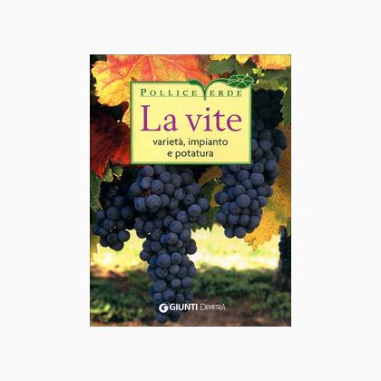 La vite. Varietà, impianto e potatura