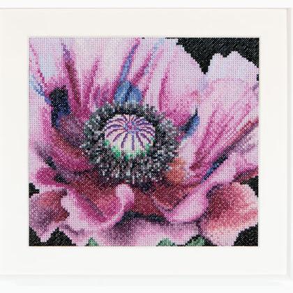 Spring Collection: Coquelicot