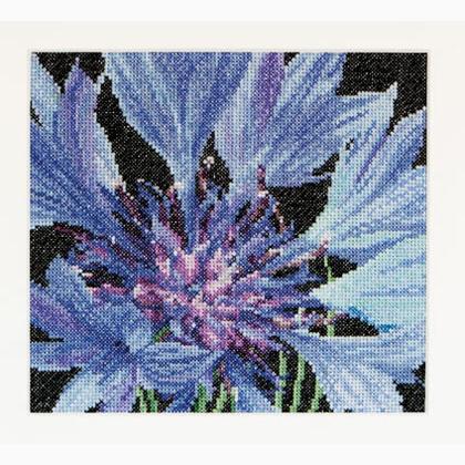 Spring Collection: Fleur-de-lis
