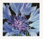 Spring Collection: Fleur-de-lis