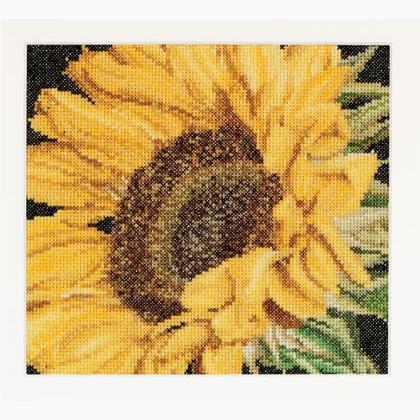 Spring Collection: Tournesol