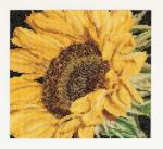 Spring Collection: Tournesol