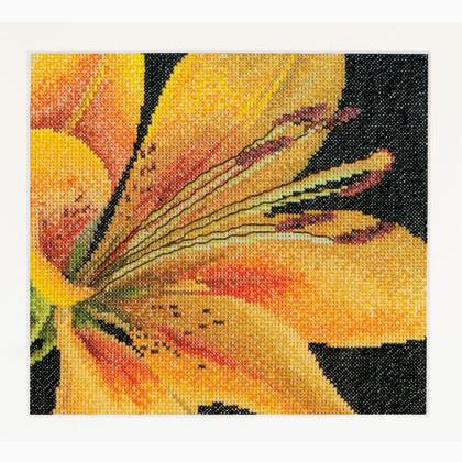 Spring Collection: Lys