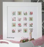 Blumeninchies Rosé