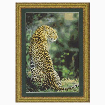 Leopard In Waiting