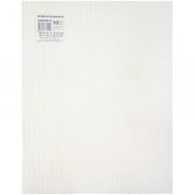 Plastic Canvas 10ct. 10.5x13.5 - Blanc