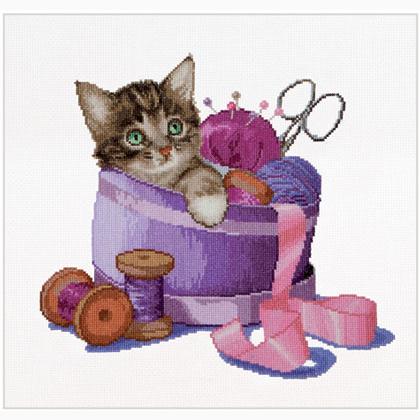 Sewing basket kitten