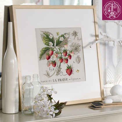 Etude Aux Fraises - Lin