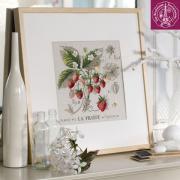 Etude Aux Fraises - Lin