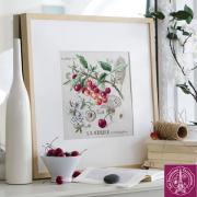 Etude Aux Cerises - Lin