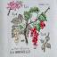 Etude Aux Groseilles - Lin