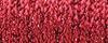 003HL Red High Lustre (#16)