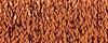 152V Vintage Sienna (#16)