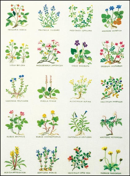Flowers